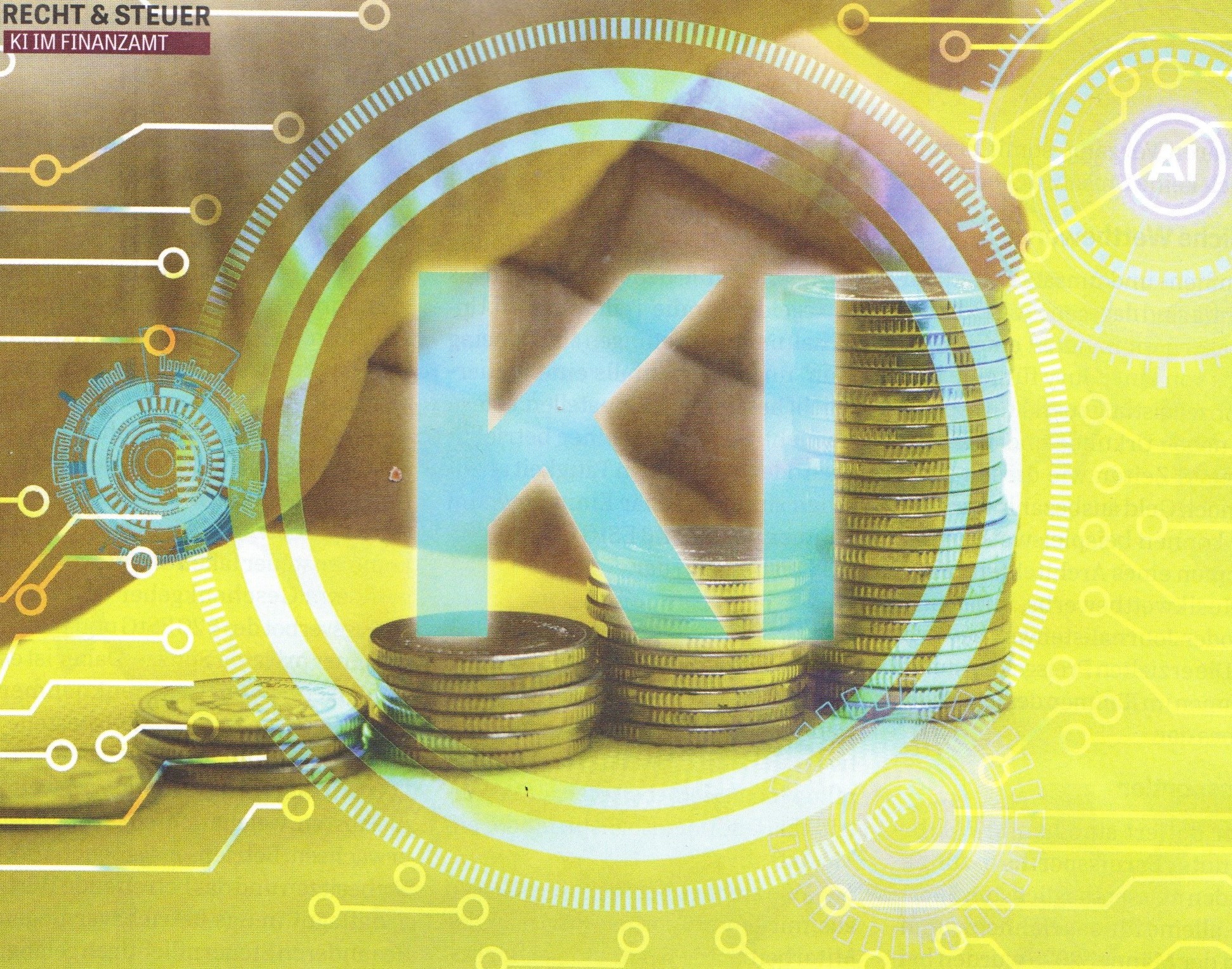 Wie die KI Finanzsünder aufspürt